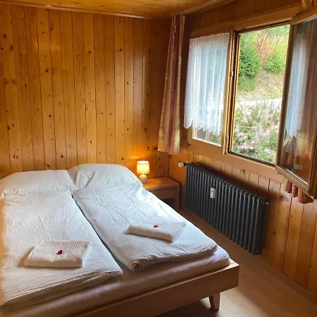 Diana - Spacious Flat - Village Core - South Facing - Ski-in/ski-out Apartment *