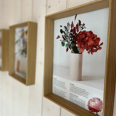 Diana - Spacious Flat - Village Core - South Facing - Ski-in/ski-out Appartement Bettmeralp